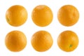 Juicy oranges collection. Whole fruits closeup, different sides, isolated on white background, studio. Royalty Free Stock Photo