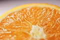 Juicy oranges half cut and sliced, healthy food and fruit