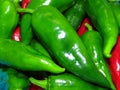 Juicy organic green and red peppers close up photo. Peppers covered with water drops. Royalty Free Stock Photo