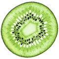 Juicy organic Kiwifruit isolated composition