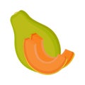 Papaya, whole fruit and slices, on white background, vector illustration