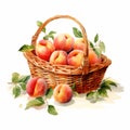 Juicy Peach Basket Vector - Realistic Watercolor Clipart