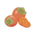 Juicy persimmon. Vector fruit, slices and whole of juicy persimmon. Fresh bright persimmon