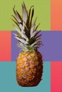 a juicy pineapple on a bright background