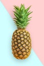 Juicy pineapple on a color background