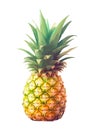 Juicy pineapple fruit tropical freshness