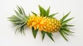 A juicy pineapple, its spiky exterior offset by tropical pineapple blossoms and leaves