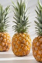 Juicy pineapple on a white background. A whole pineapple and a cut off half. Palm tree shade, creative lighting.