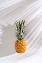 Juicy pineapple on a white background. A whole pineapple and a cut off half. Palm tree shade, creative lighting.