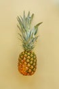 Juicy pineapple on yellow trendy paper background. summer flat l
