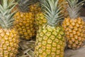 Juicy pineapples Royalty Free Stock Photo