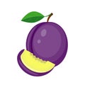 Juicy plum with green leaf and plum slice vector illustration is
