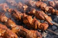 Juicy pork barbecue cooking on metal skewers on charcoal outdoors grill with fragrant fire smoke Royalty Free Stock Photo