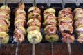 Juicy pork shashlik. grilled meat Royalty Free Stock Photo