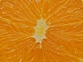 Juicy Pulp Inside Naval Orange Royalty Free Stock Photo