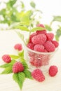 Juicy raspberries