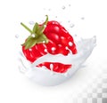Juicy raspberry in a milk splash Royalty Free Stock Photo