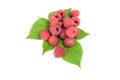 Juicy raspberry over a white background Royalty Free Stock Photo