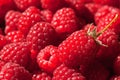 Juicy raspberry texture