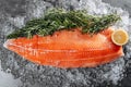 Juicy raw red salmon steak, carefully cut lengthwise, on a bed of ice with sprigs of aromatic rosemary and a slice of lemon Royalty Free Stock Photo