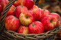 Juicy Red apple basket. Generate Ai Royalty Free Stock Photo