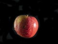 Juicy red apple on a dark background after rain. Royalty Free Stock Photo