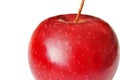 Juicy red apple on white background