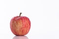 Juicy red apple on white background Royalty Free Stock Photo