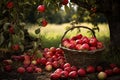 Juicy red apples basket. Generate Ai Royalty Free Stock Photo