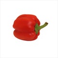 Bell pepper paprika