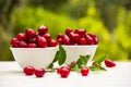 Juicy red berries in white bowls. Organic fruits and berries. Fresh dogwood berries.