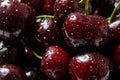 Juicy red cherry with drops of water on berries Royalty Free Stock Photo