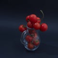 Juicy red cherry tomatoes in a jug on a sharp black background, capturing the freshness of a healthy diet in a still life in an Royalty Free Stock Photo