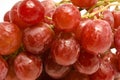 Juicy red grape background Royalty Free Stock Photo