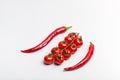 Juicy red hot chili peppers with cherry tomatoes on a branch Royalty Free Stock Photo