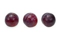 Juicy red plum fruit with a single hard seed Royalty Free Stock Photo