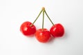 Juicy red three cherries with stems lie on a white background in summer Royalty Free Stock Photo