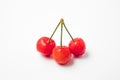 Juicy red three cherries with water drops lie on a white background summer Royalty Free Stock Photo