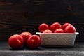 Juicy Red Tomatoes still life Royalty Free Stock Photo