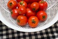 Juicy red tomatoes in table cloth . caro background Royalty Free Stock Photo