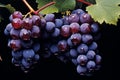 Juicy Red wine grapes. Generate Ai Royalty Free Stock Photo