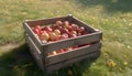 Juicy ripe apples in a green crate, fresh from orchard generated by AI