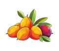 Juicy ripe fruit, fresh from nature bounty
