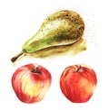 Juicy ripe green pear conference and bright red bulk apples on a white background. Set of three hand-drawn colorfull watercolor Royalty Free Stock Photo