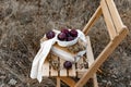 Juicy ripe large plums, spherical full shape. Liquid fruit in a ceramic oval shape on a wooden chair stool. Royalty Free Stock Photo