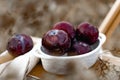 Juicy ripe large plums, spherical full shape. Liquid fruit in a ceramic oval shape on a wooden chair stool. Royalty Free Stock Photo