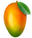 Juicy ripe mango isolated Royalty Free Stock Photo