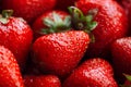 Juicy, ripe natural red strawberries without GMO. Strawberry - full frame. Close-up Royalty Free Stock Photo