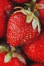 Juicy, ripe natural red strawberries without GMO. Strawberry - full frame. Close-up Royalty Free Stock Photo