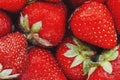 Juicy, ripe natural red strawberries without GMO. Strawberry - full frame. Close-up Royalty Free Stock Photo